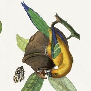 Meet your Posher, Jammifier